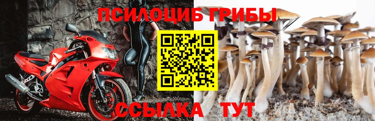 Гашиш  Гай  Вход с VPN  Каннабис  Меф   Cocaine  ГАШИШ  Меф МЯУ МЯУ 