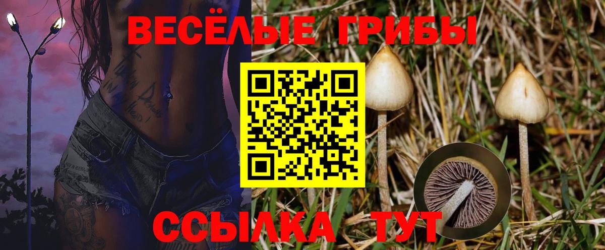 Гай  Псилоцибиновые грибы Magic Shrooms  Вход с VPN 